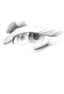 Tinto Crianza Sauci Bodega