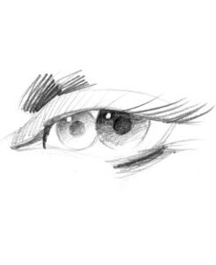 Tinto Crianza Sauci Bodega